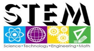 stem