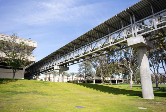 bridge-1